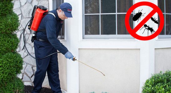 Kemalpaşa Kene İlaçlama böcek ilaçlama ve haşere kontrolü — ilaclama-tr.com